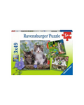 Puzzle chatons tigrés 3x49 pièces Ravensburger